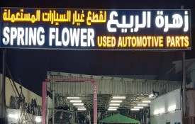 Spring Flower Auto Used Spare Parts