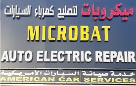 Microbat Auto Electrical And AC Auto Repair Workshop