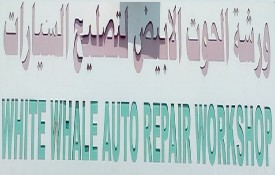 White Whale Auto Repair Workshop