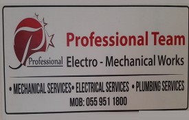 Professional Team Electro-Mechanical Works