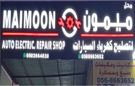 Maimoon Auto Electric Auto Repair Workshop
