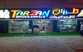 Tarzan Birds & Animals (Pet Shop)